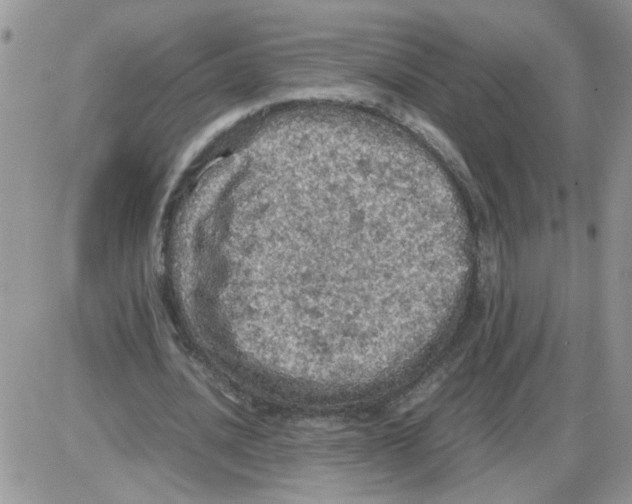 X0000086030628200704201947