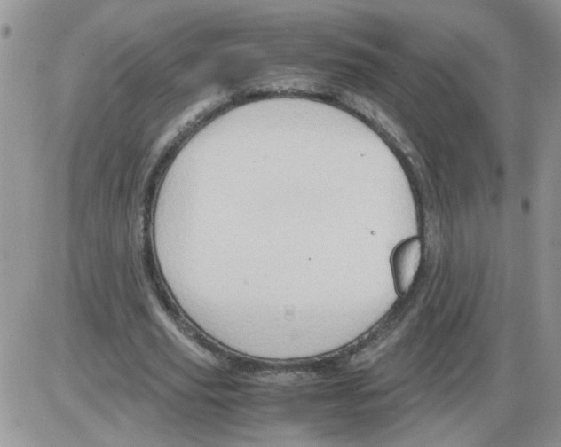 X0000086030629200704201947