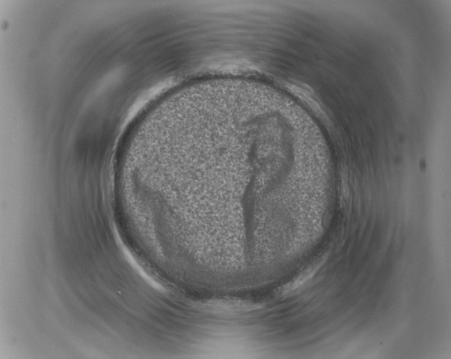 X0000086030630200704201947