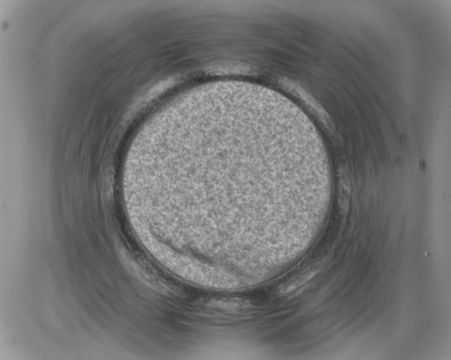 X0000086030631200704201947