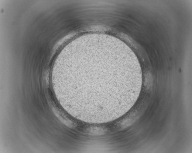 X0000086030632200704201947