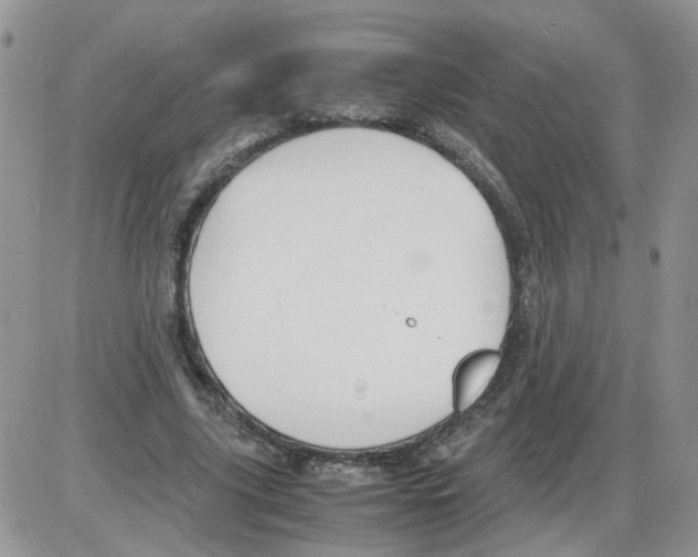 X0000086030635200704201947