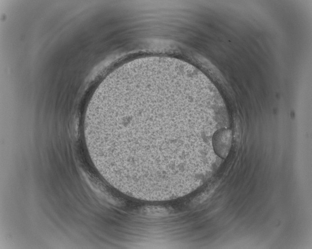 X0000086030636200704201947