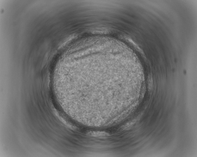 X0000086030637200704201947