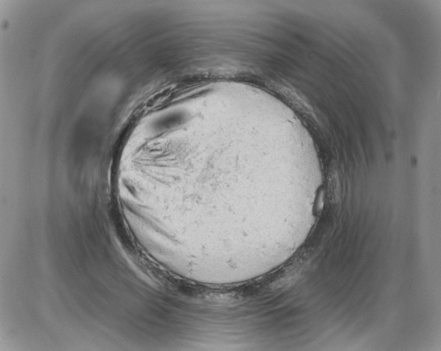 X0000086030638200704201947