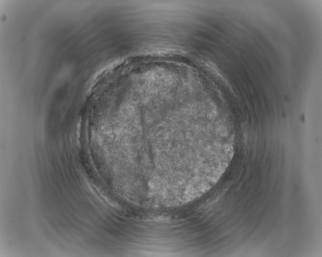 X0000086030640200704201947