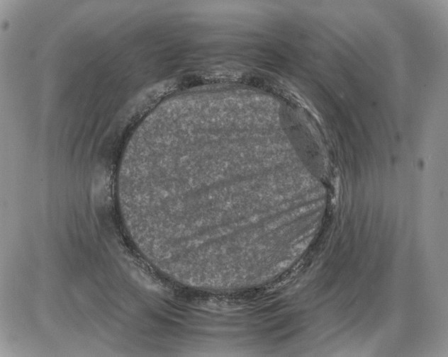 X0000086030641200704201947