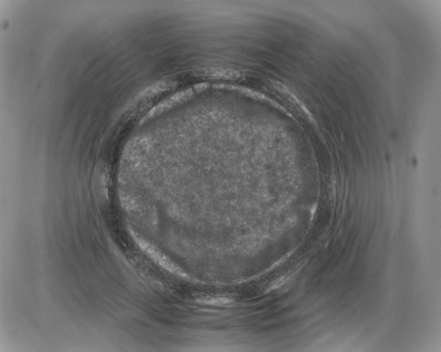 X0000086030643200704201947