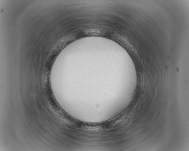 X0000086030645200704201947