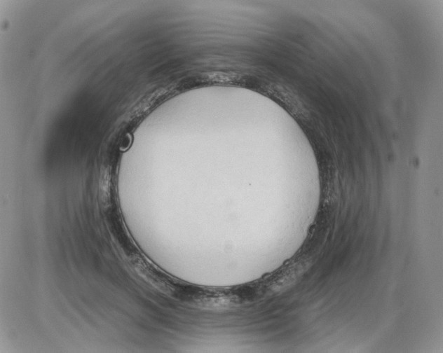 X0000086030646200704201947