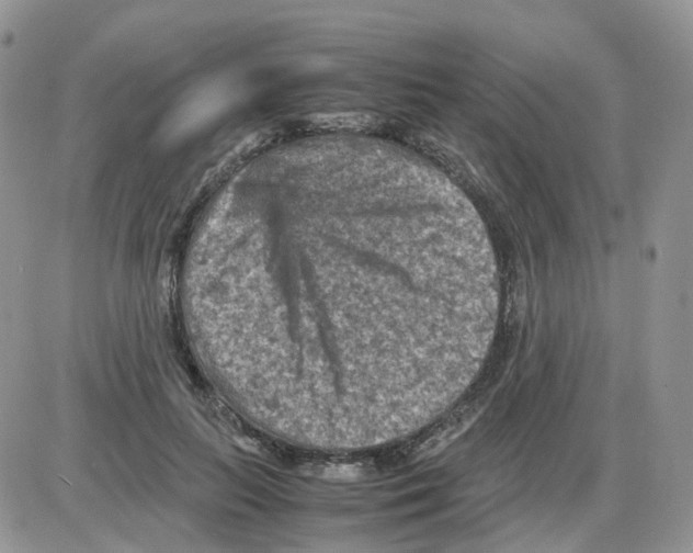 X0000086030647200704201947