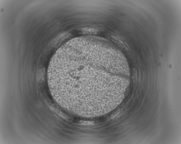 X0000086030649200704201947