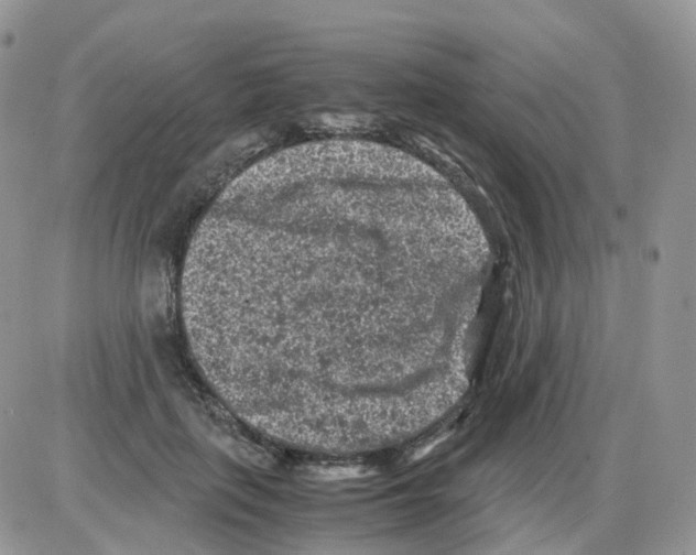 X0000086030651200704201947