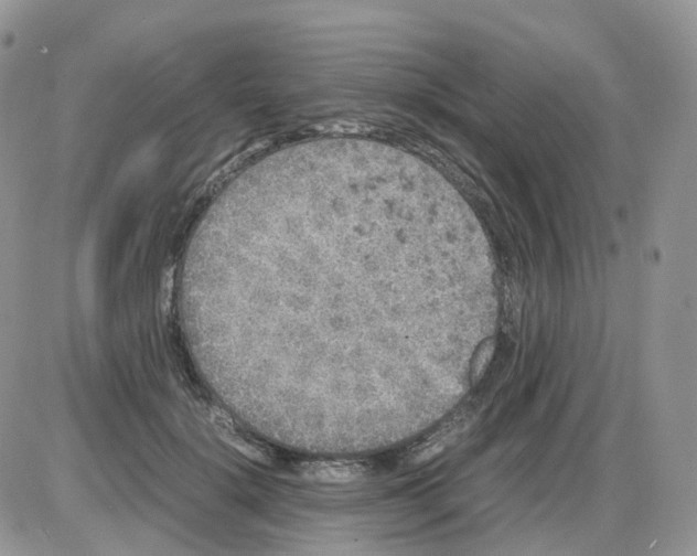 X0000086030652200704201947