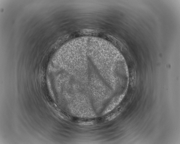 X0000086030653200704201947