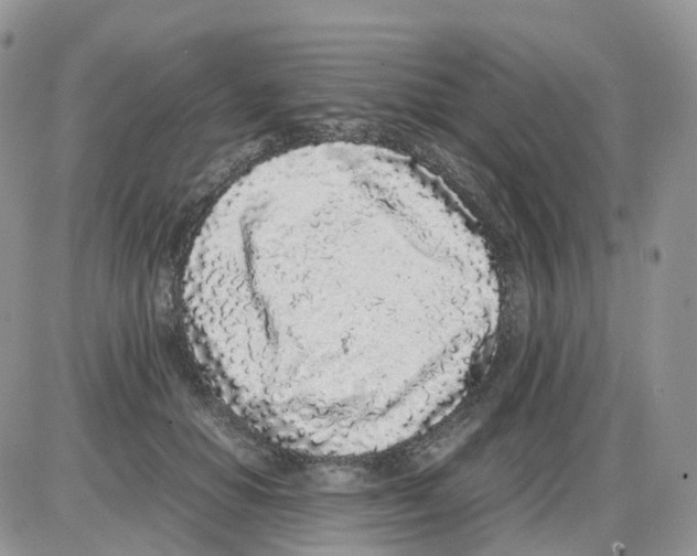 X0000086030654200704201947