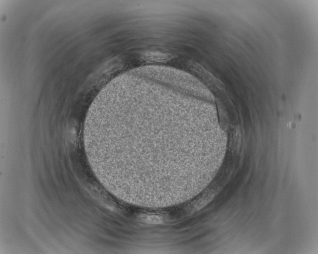 X0000086030655200704201947