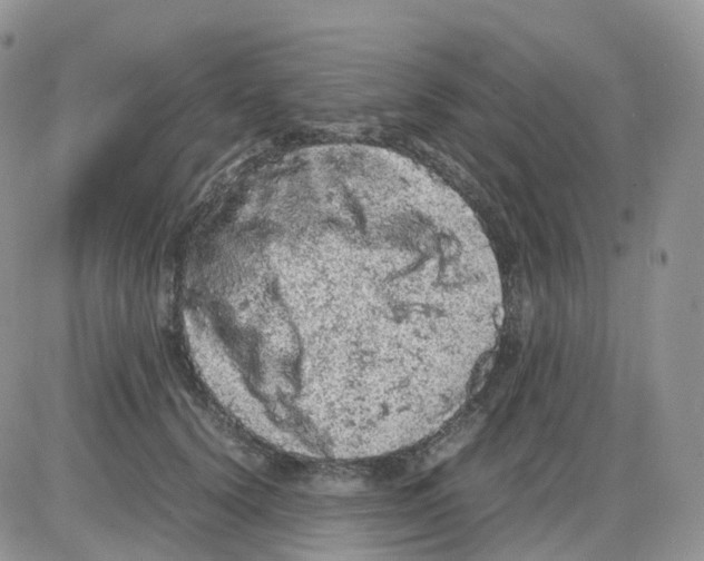 X0000086030656200704201947