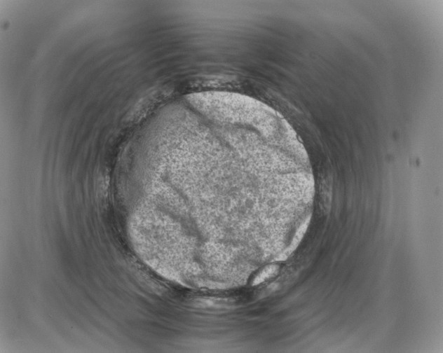 X0000086030657200704201947