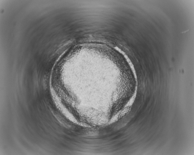 X0000086030658200704201947