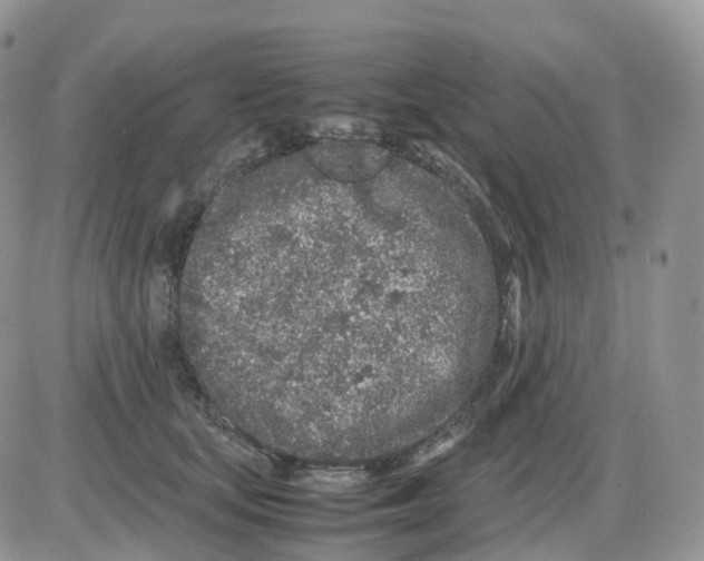 X0000086030659200704201947