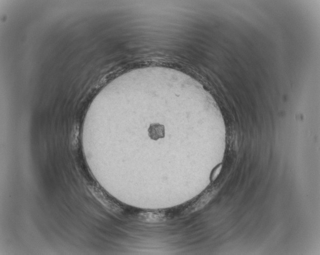 X0000086030660200704201947