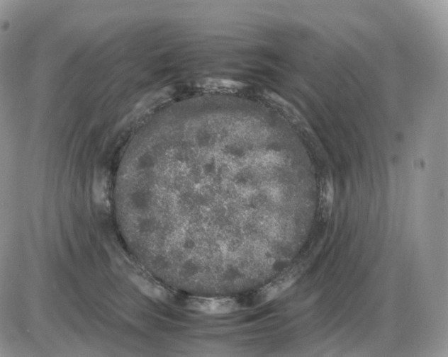 X0000086030663200704201947