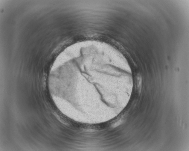 X0000086030664200704201947