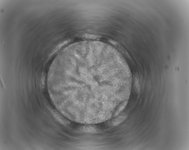 X0000086030668200704201947