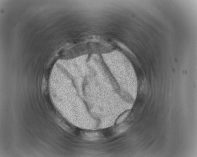 X0000086030669200704201947