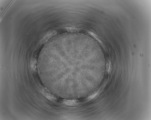 X0000086030671200704201947