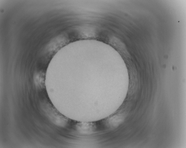 X0000086030672200704201947