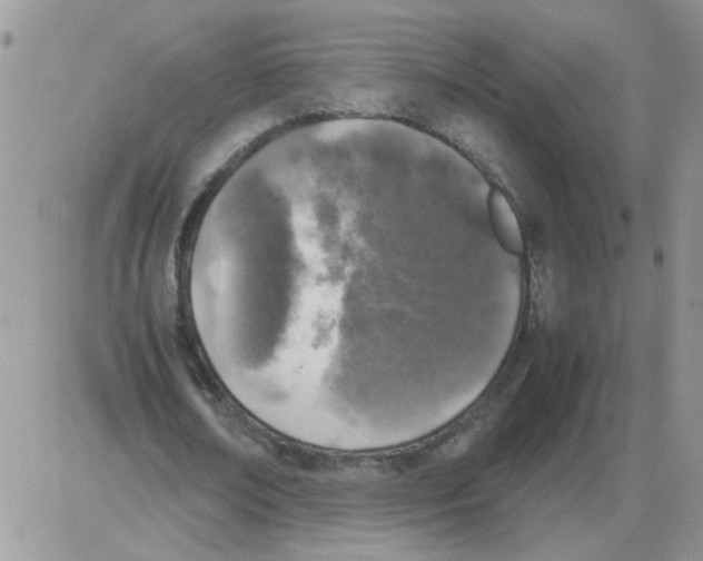 X0000086030674200704201947