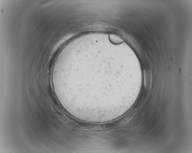 X0000086030675200704201947