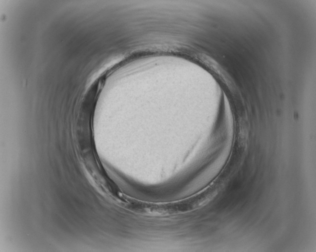 X0000086030677200704201947