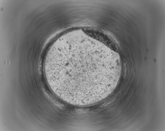 X0000086030680200704201947