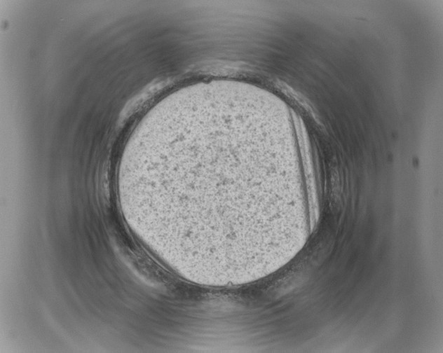 X0000086030682200704201947