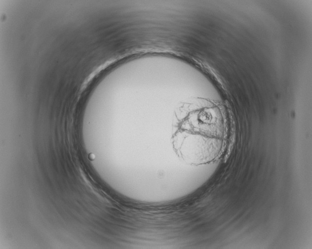 X0000086030684200704201947