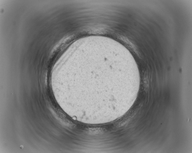 X0000086030686200704201947