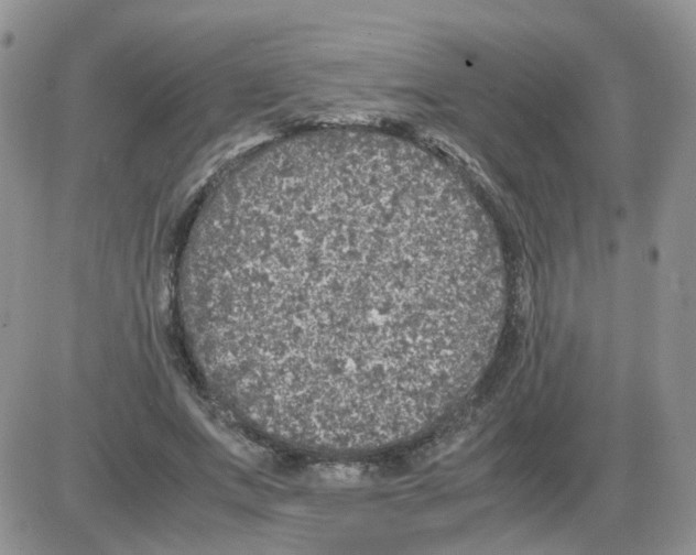 X0000086030687200704201946