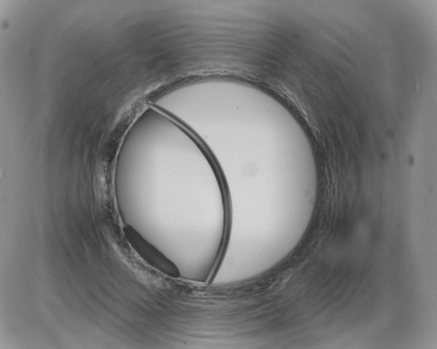 X0000086030688200704201946