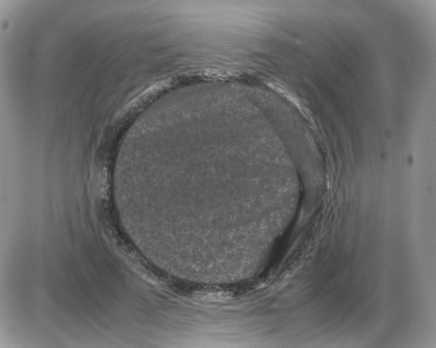 X0000086030689200704201946