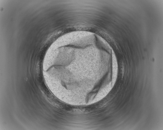 X0000086030690200704201946