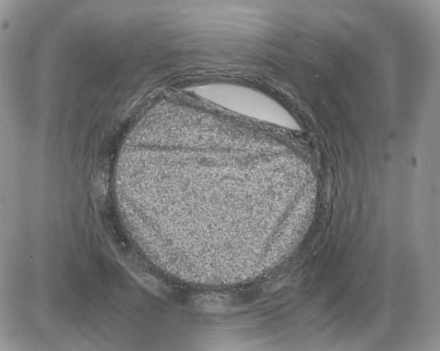 X0000086030691200704201946