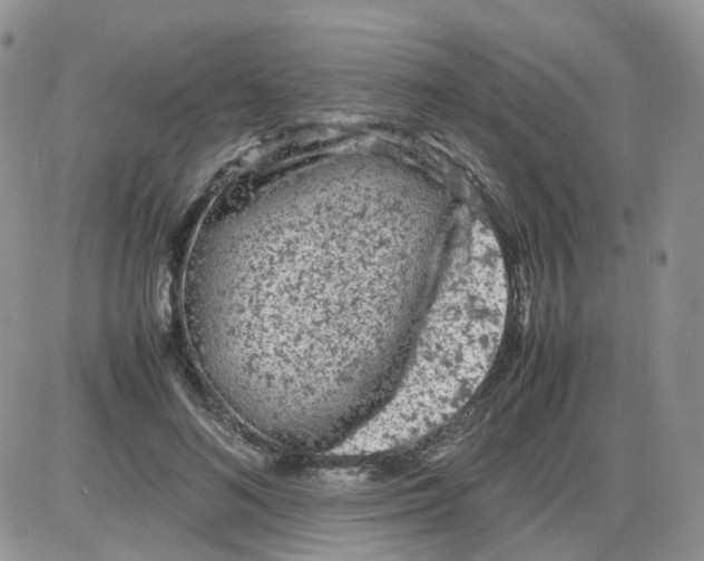 X0000086030692200704201946