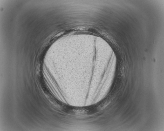 X0000086030693200704201946