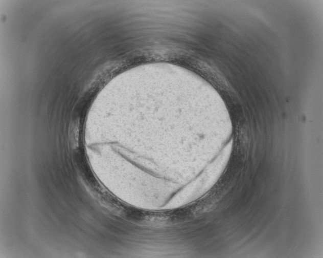 X0000086030694200704201946