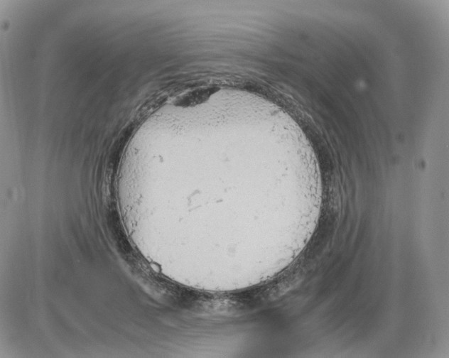 X0000086030695200704201946