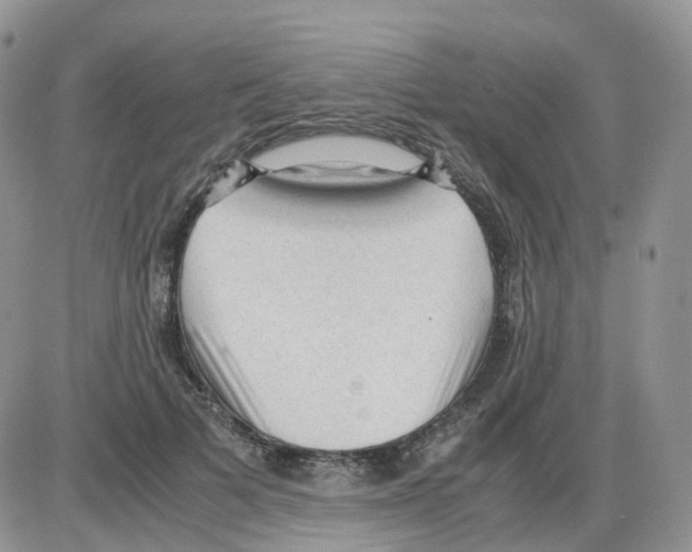 X0000086030697200704201946