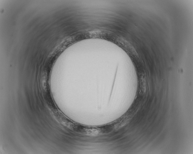 X0000086030698200704201946